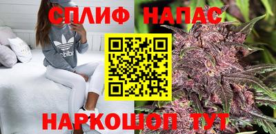 индика Гагарин