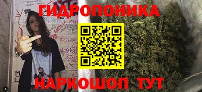 apvp Гай