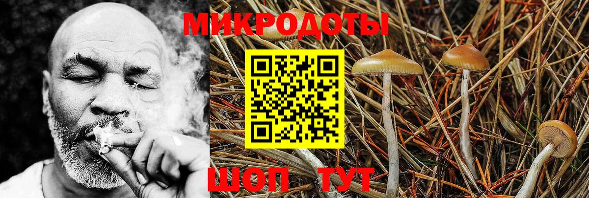 Псилоцибиновые грибы мицелий  Вход с VPN  Волгоград  Псилоцибиновые грибы MAGIC MUSHROOMS 