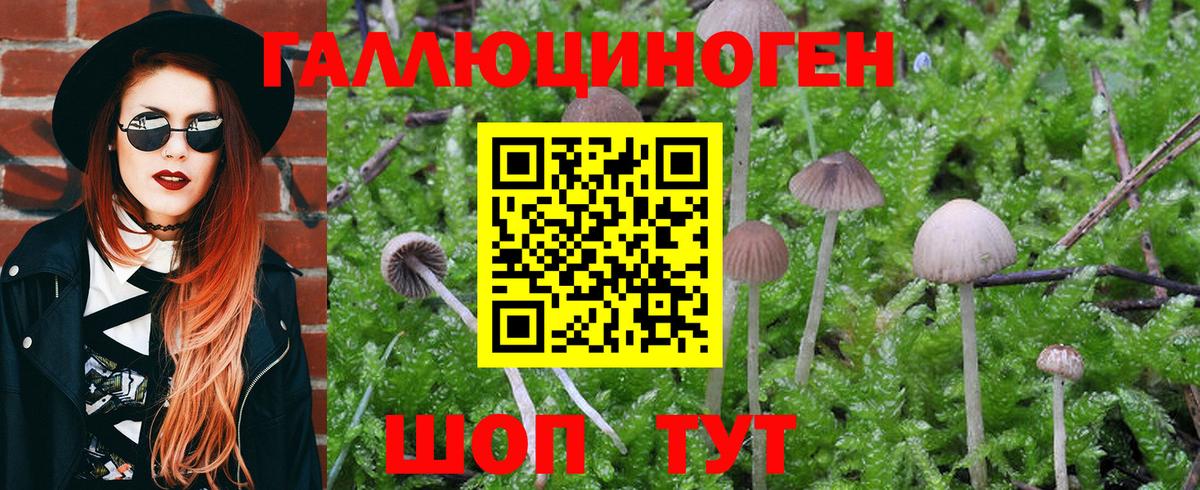 Псилоцибиновые грибы MAGIC MUSHROOMS Волгоград